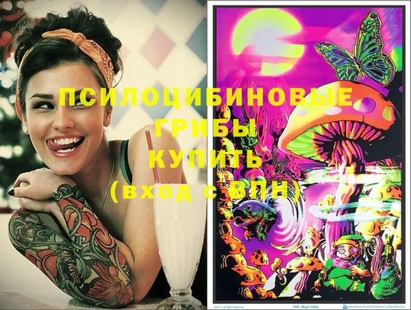 дмт Елизово
