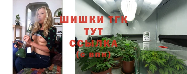 герыч Ельня
