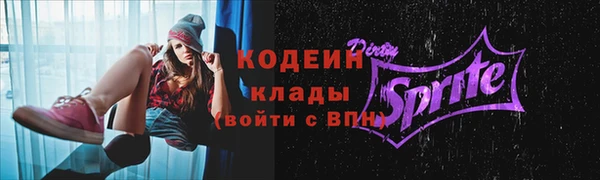 дмт Елизово