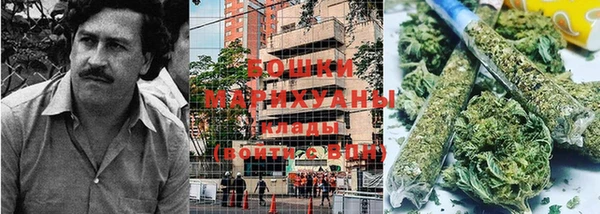 дмт Елизово
