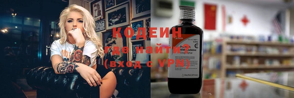 дмт Елизово