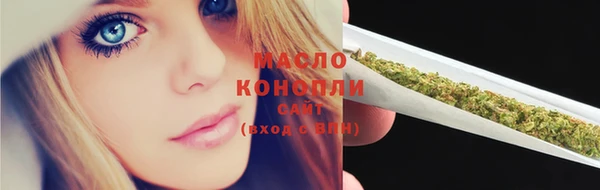 дмт Елизово