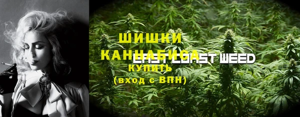 дмт Елизово