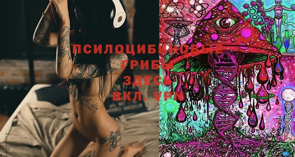герыч Ельня