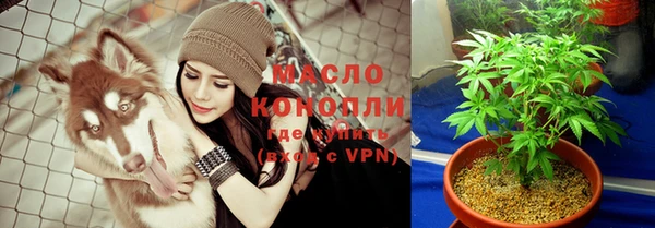 дмт Елизово
