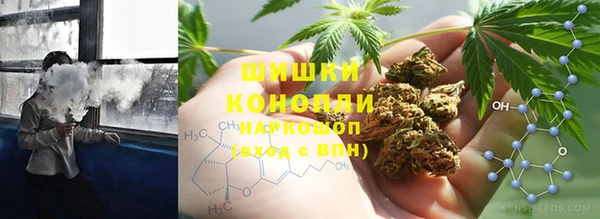 дмт Елизово