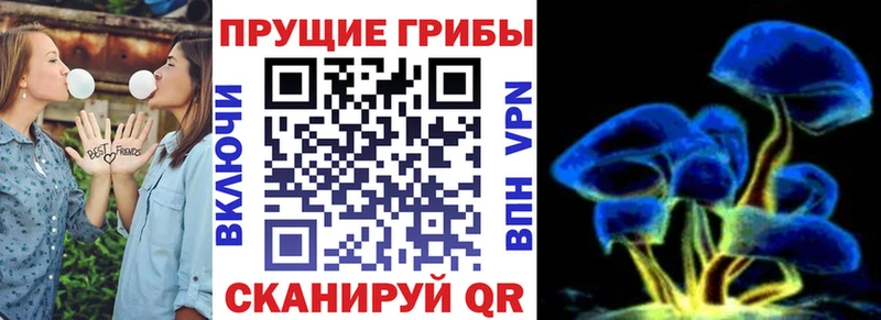 ссылка на мегу маркетплейс  Истра  Галлюциногенные грибы прущие грибы 