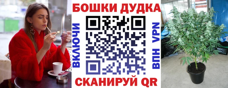 площадка клад Истра Конопля гибрид